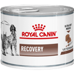 Gastrointestinal Recovery Ultra Soft Mousse Våtfôr for katter og hunder 195 g x 12 - Hund - Royal Canin Veterinary Diets Dog