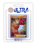 Jouet Attrapeur 233/192 Dresseur Secrète Gold - Ultraboost X Epée et Bouclier 7 Évolution Céleste - Coffret de 10 cartes Pokémon Françaises