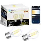 Aigostar Ampoule Connectée Alexa, Ampoule LED E27 Edison, G45 Transparent Ampoule Vintage WIFI, 4.5W 470LM, Blanc Chaud Dimmable 2700K -6500K, Compatible Alexa et Google Home, 2 Unités