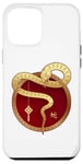 iPhone 12 Pro Max Zen Taiji Lucky Money Red Pocket Snake Year Pj ART ON BACK Case