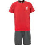 Liverpool Pyjamas | Mens Football Club Pjs | Mens Liverpool Pyjama Set