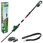 Bosch Lawn and Garden 06008B3070 Cordless Telescopic Hedge Trimmer UniversalHedgePole 18 (1 Battery, 18 Volt System in Cardboard Box), Green