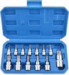 13 Pièces Jeu De Douilles Torx Embouts Tournevis Femelle T8 - T70 En Acier