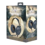 Harry Potter - Dual headset microphone for PC/PS4/PS5/XBOXONE/SWITCH