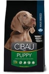 Farmina Cibau Puppy Maxi kana ja riisi, 12 kg + 2 kg