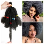 Kinky Curly Synthetic Hair Short Afro Curly Wig Fashion Braids Hair  Women