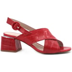 Chaussures Café Noir  Sandalo Rosso GLF124