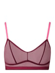 Understatement Underwear Lace Balc Tte Burgundy