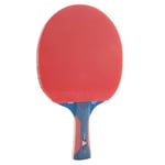 JOOLA Tête de Cheval Junior Pro ITTF Raquette de Tennis de Table 5 étoiles pour Enfant, Manche Bleu/Rouge, 1.8 MM Schwammstärke