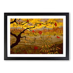 Big Box Art Apple Tree with Red Fruit by Paul Ranson Framed Wall Art Picture Print Ready to Hang, Black A2 (62 x 45 cm)