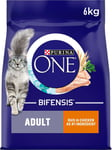 Purina ONE Adult Dry Cat Food Rich in Chicken 6kg, Packaging may vary