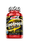 Amix - Lipotropic Fat Burner, 100 Capsules