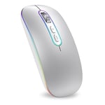 cimetech Souris Bluetooth Rechargeable, Souris sans Fil, Souris Silencieux de Double Modes (Bluetooth 5.1 + USB 2.4G) 3 DPI pour MacBook/Tablette/iPad/Ordinateur Portable/PC/Notebook - Argent