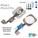 NEW iPhone 6 Complete Home Button Replacement Flex w/Tools w/Gasket - GOLD