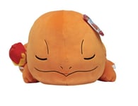 Pokemon Charmander Sleeping Kids' Plush Buddy Toy New with Tag