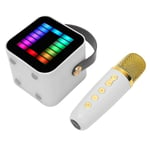 Mini Karaoke Machine Set RGB Pickup Light Digital Processing Chip Handheld Kannettava Bluetooth Kaiutin Mikrofonilla Valkoinen