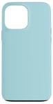 Coque pour iPhone 13 Pro Max Couleur bleu poudré simple