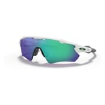 Oakley Radar EV Path Polished White, PRIZM JADE IRIDIUM