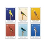 Isle of Man Stamps 2021 Show Birds Set (Mint)