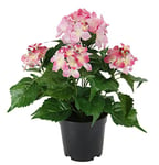 Flair Flower Hortensia en Pot, Polyester, Plastique, Rose, 22 x 22 x 30 cm