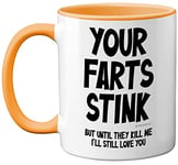 Funny Valentines Gifts for Him - Your Farts Stink Mug - Funny Mugs for Men, Birthday Gifts for Boyfriend Husband Dad, Joke Novelty Present, I Love You Daughter Son Wife, 11oz Yellow Ceramic Mugs