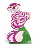 Cheshire Cat from Alice in Wonderland Disney Cardboard Cutout Standee Tea Party