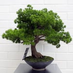 Leaf Design 50cm Artificial Luxury Pine Bonsai Tree