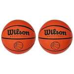 Wilson Mic Basketball ball (Pack of 2)