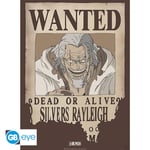 Abysse One Piece - Wanted Rayleigh Poster Chibi (52x38cm) (gbydco268)