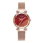 Basfur Dress Watch Fe-Montre-066-01