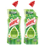 HARPIC Lot de 2 Gels WC - Nettoyant Fraicheur d'Ailleurs Parfum Foret de Bambous avec technologie anti-odeurs 750 ml