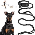 2 IN 1 Dog Hands Free Lead Extendable 55.1-78.7" with Waist Belt [Phone Pouch/Bottle Holder/Shock Absorbing/Reflective Bungee/Dual-Handle]for Dog Running Leash Dog Hiking Gear Service Dog Leash Bungee