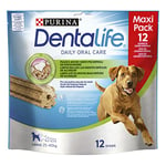 Purina Dentalife Lot de 5 Paquets de 12 bâtonnets