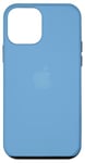 Coque pour iPhone 12 mini Étui en silicone bleu d'hiver avec MagSafe et contrôle de l'appareil photo