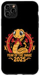 iPhone 11 Pro Max Chinese New Year 2025 Year Of The Snake Case