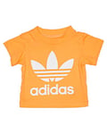 adidas Mixte enfant Trefoil Tee T Shirt, Real Gold S18/White, FR : S (Taille Fabricant 6-9M) EU