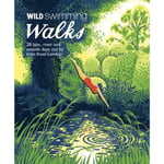 Wild Swimming Walks (häftad, eng)