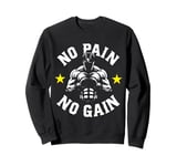 No Pain No Gain T No Pain No Gain Sign No Pain No Gain Meme Sweatshirt