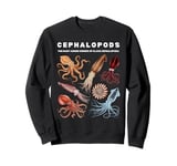 The Cephalopod Octopus Animals Of The World Octopus Lover Sweatshirt