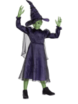 Wicked Elphaba Deluxe Children's Costume