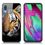 Samsung Fantasy Galaxy A40 kuoret - Tiikeri Oranssi