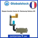 Nappe bouton home Or pour Samsung Galaxy A5 2017 (A520F)