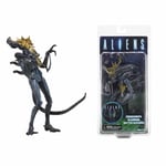 Figurine Aliens - NECA - Alien Blue Warrior Battle Damage 18cm - Blanc - Bleu - PVC