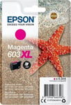 EPSON Singlepack Magenta 603XL Ink