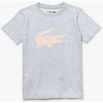 T-shirt enfant Lacoste  T-shirt Garçon Tennis  SPORT crocodile oversize gris