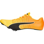 Puma evoSpeed Tokyo Future Faster Running Spikes Orange Sprint Athletics Shoes