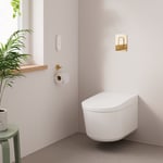 GROHE SENSIA BASIC VEGGHENGT DUSJTOALETT