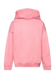 College Hoodie Tops Sweat-shirts & Hoodies Hoodies Pink Gugguu