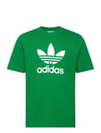 Adidas Originals Trefoil T-Shirt Grön