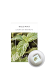 Glass & Wick Wild Mint Wax Melts, Pack of 6